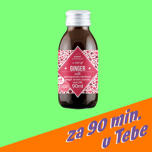 Ginger BIO shot 90ml